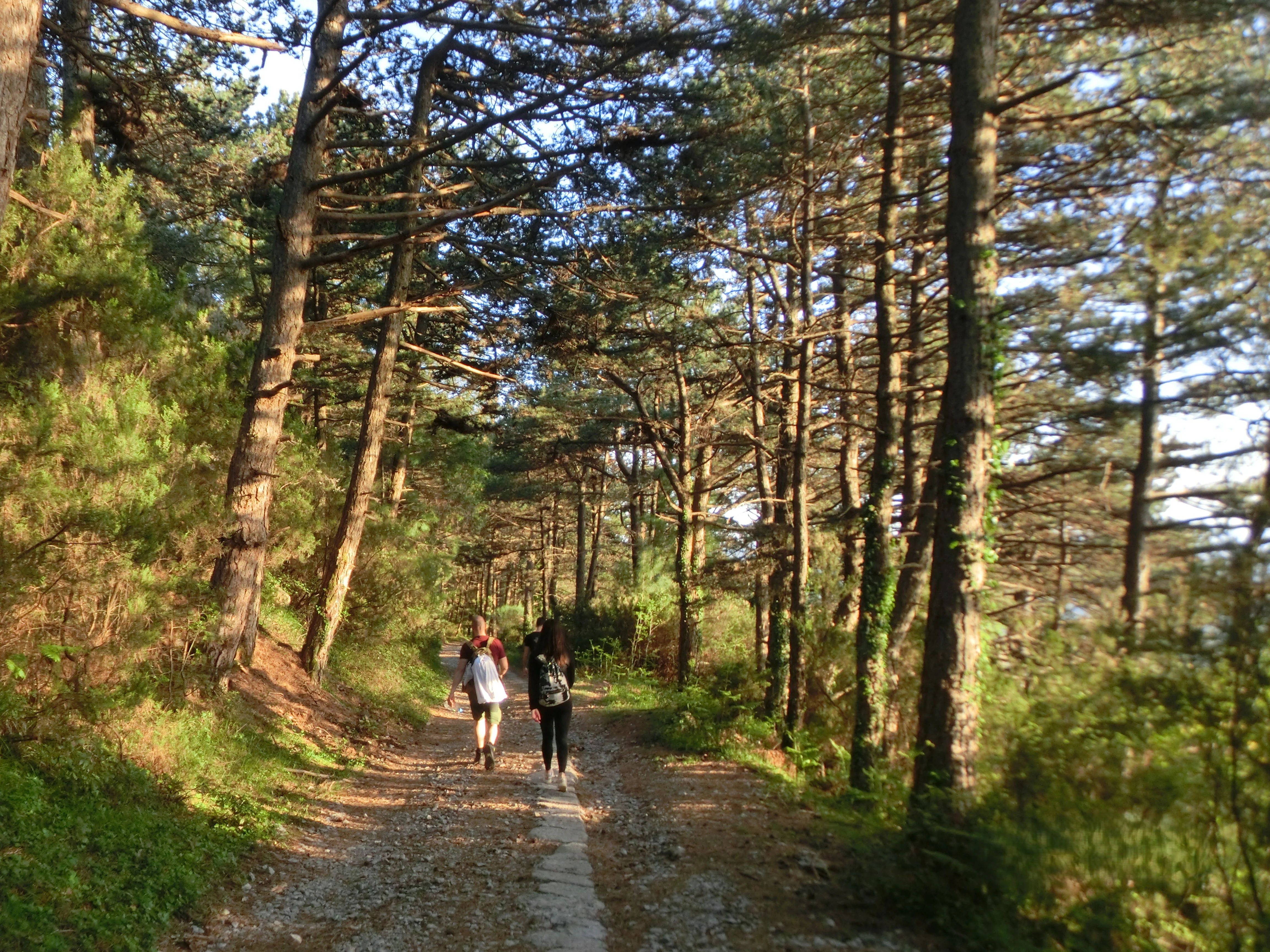 Kotor Vrmac Forest Walk