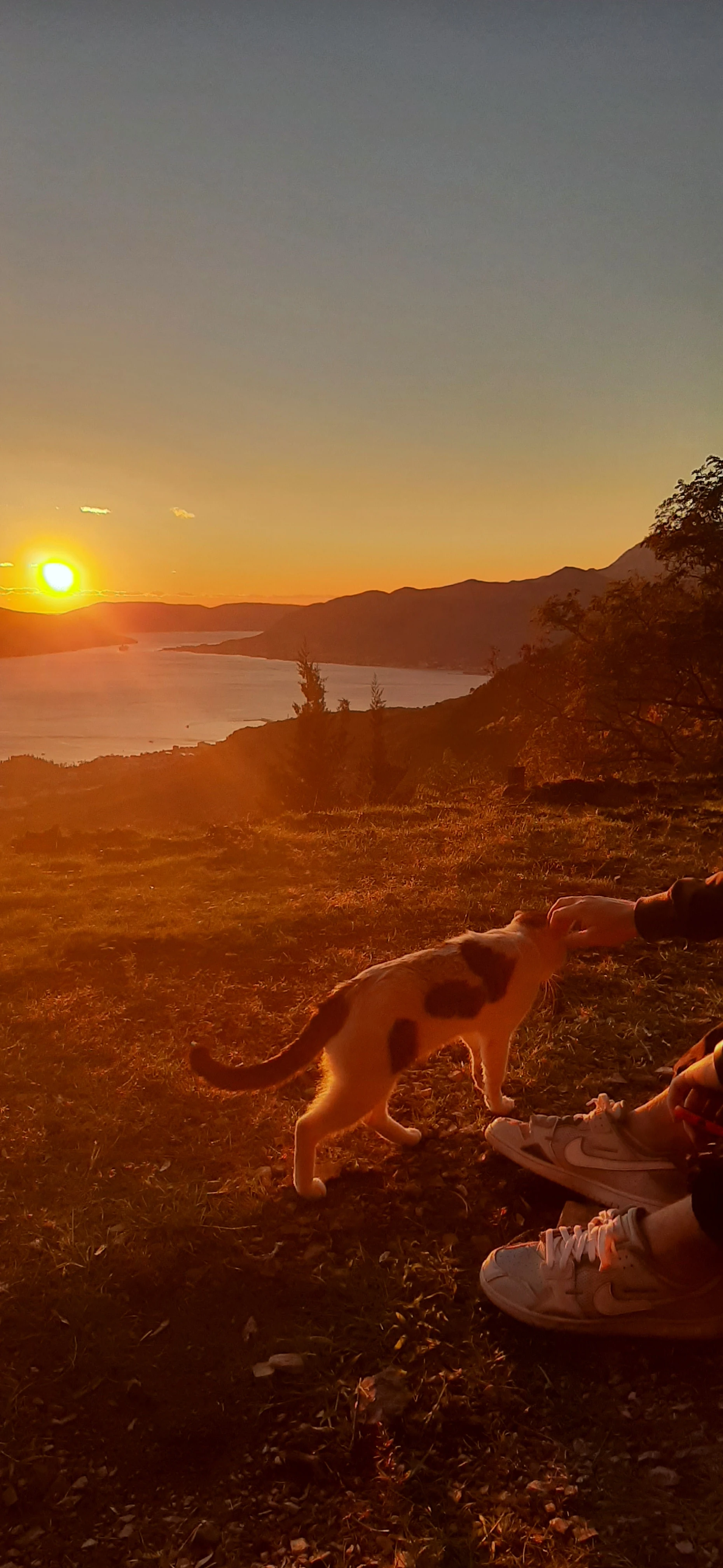 Vrmac Sunset
