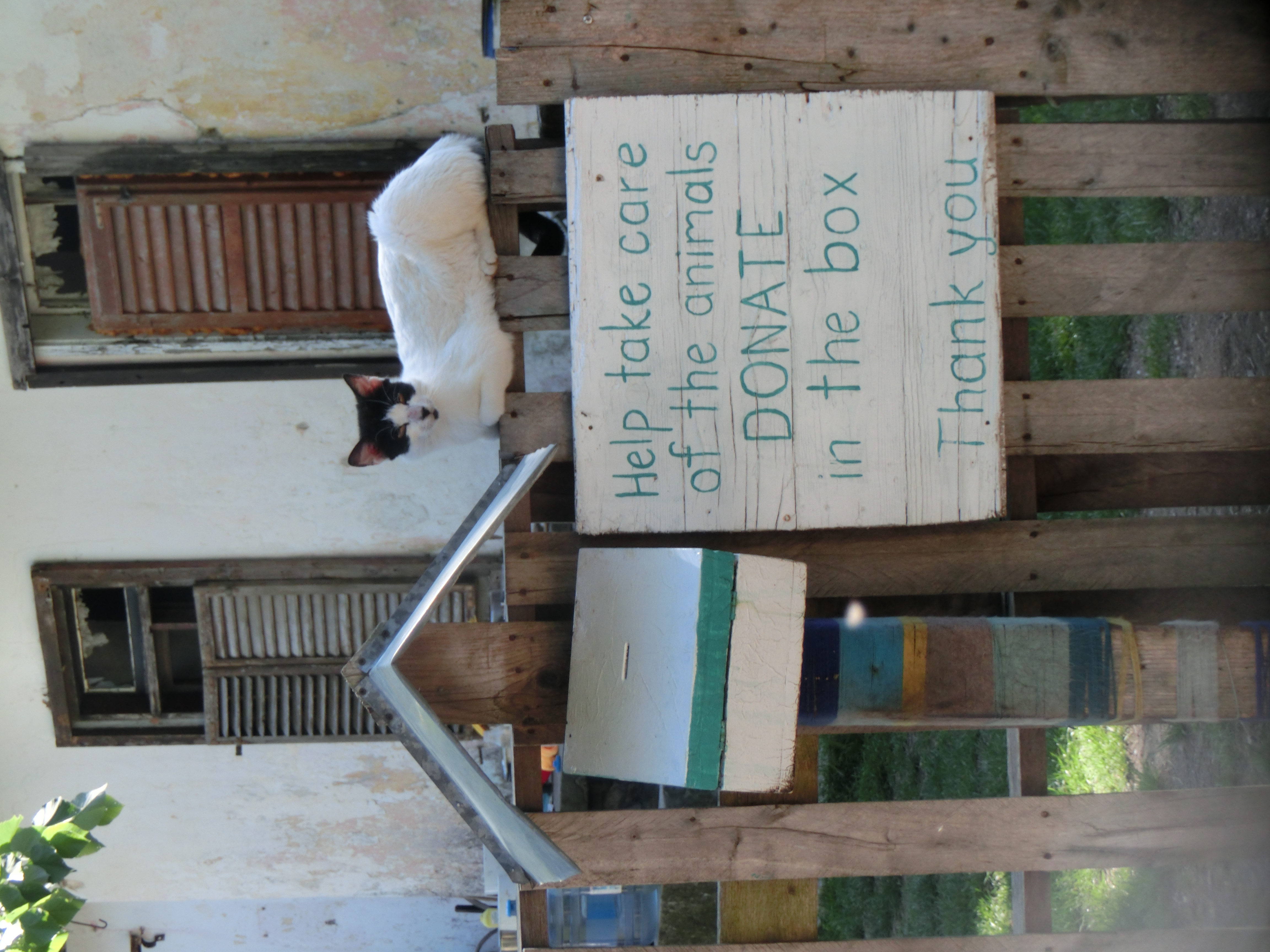 Image 15