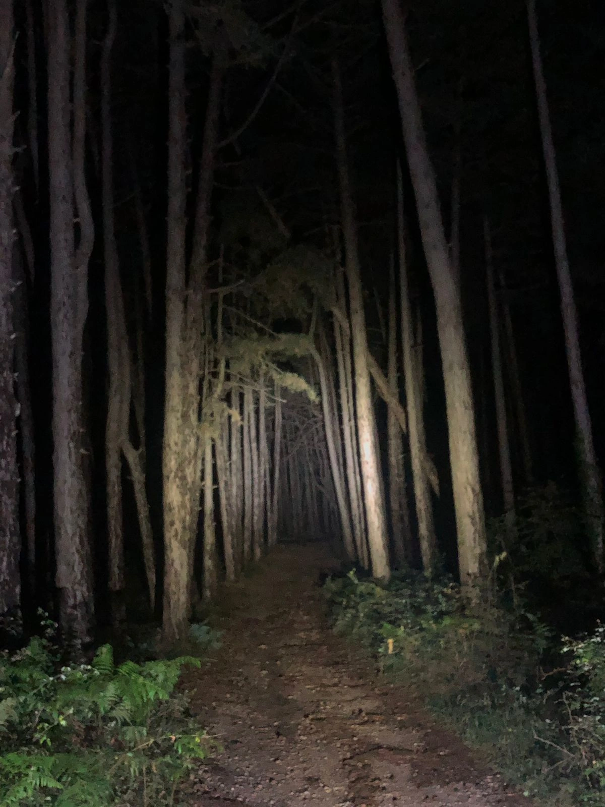 Vrmac Night Walk