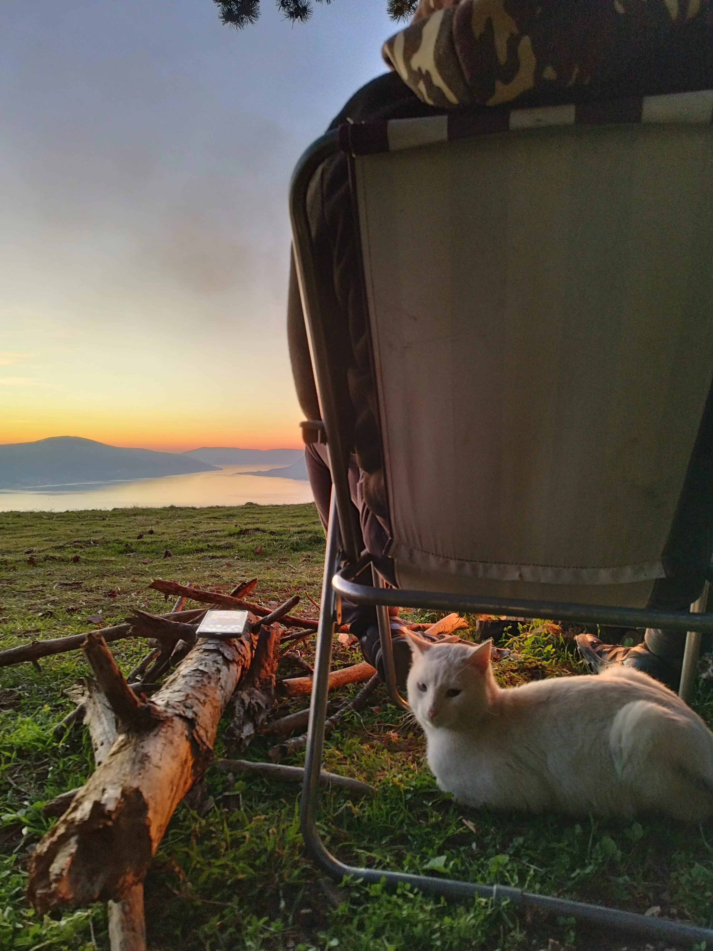 Kotor Cats - Vrmac Sunset