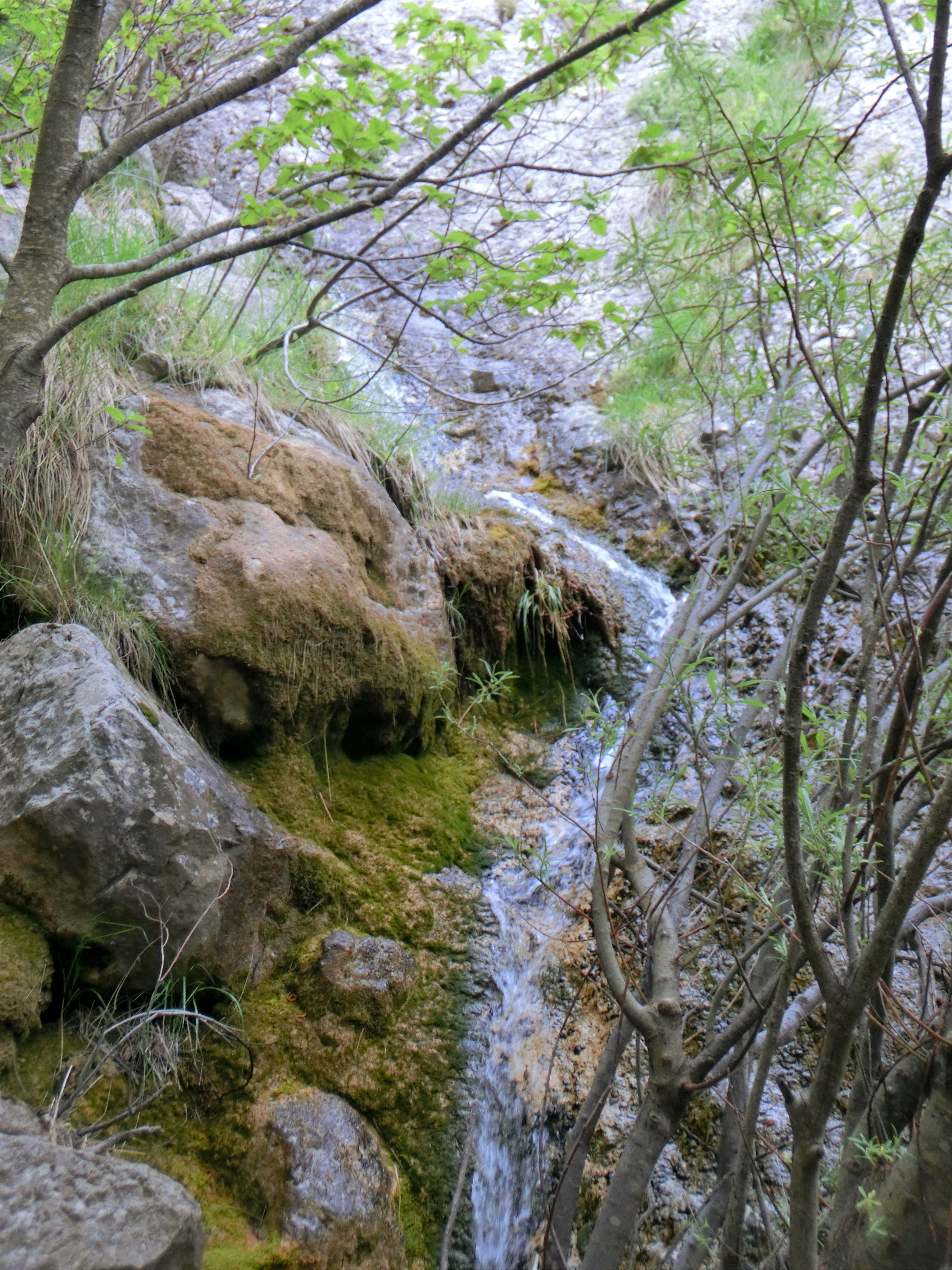 Image 27
