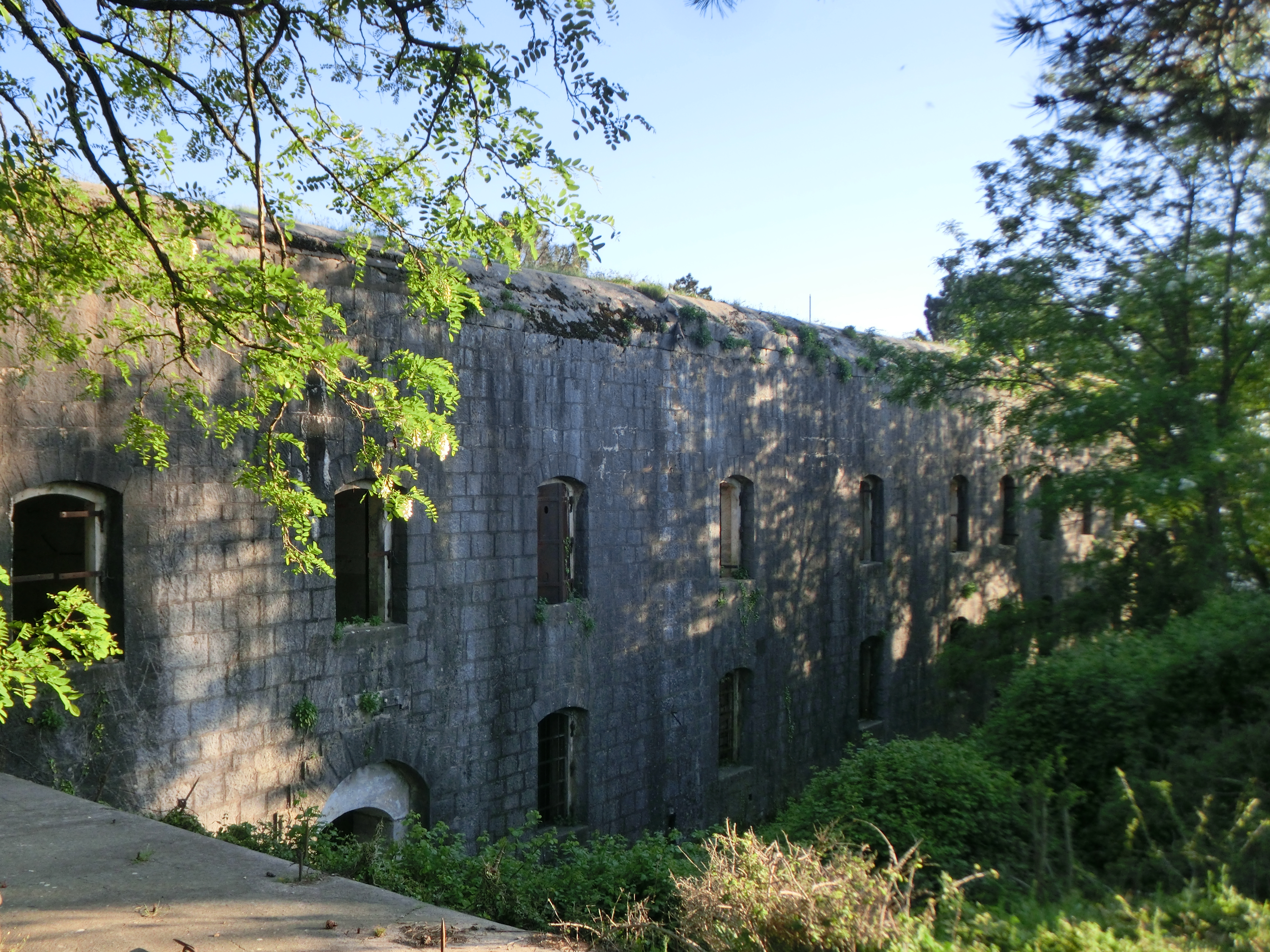 Image 2